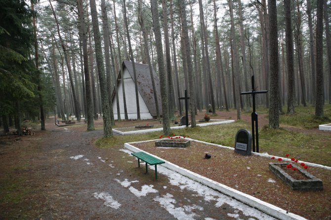 018_Piasnica Forest.jpg