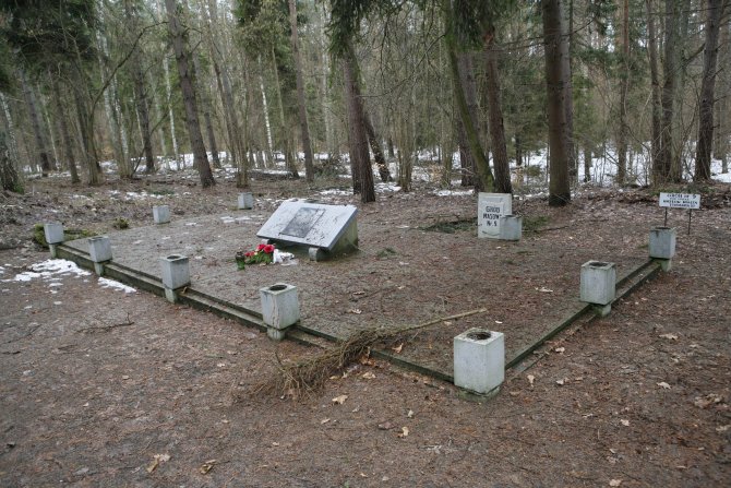 022_Szpegawski Forest.jpg